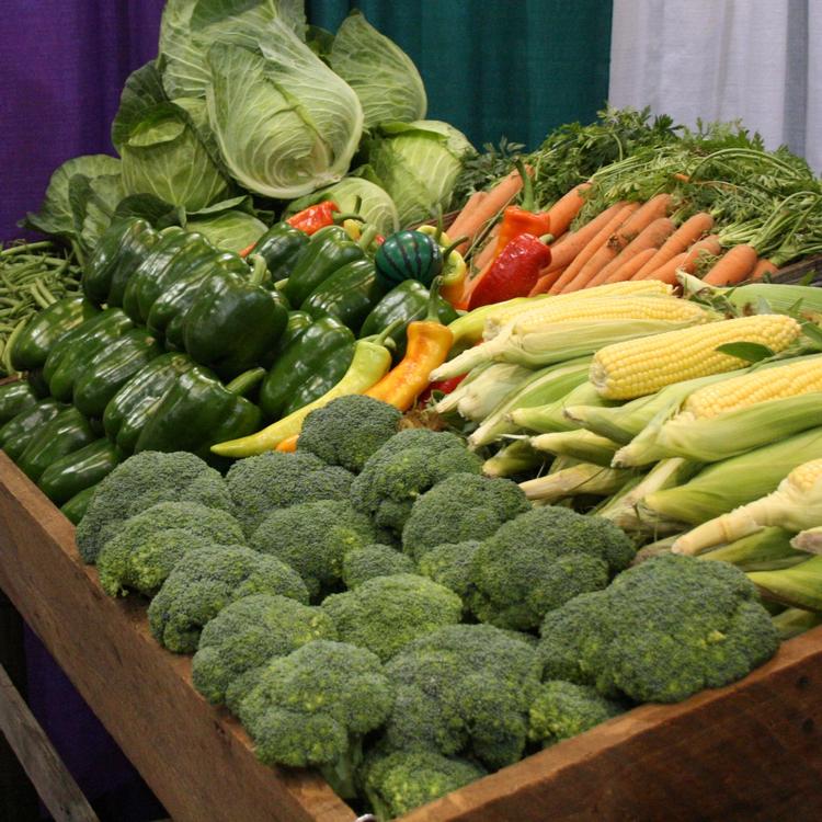 SE Fruit & Vegetable Conference features food safety products